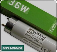 Sylvania 36 W / Gro-Lux T8 Kasap Florasan Ampul - Thumbnail